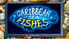 《加勒比海之鱼》完整硬盘版